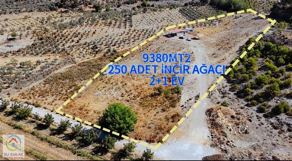 Su Emlak'tan İçinde Evi Olan Büyük İncir Bahçesi