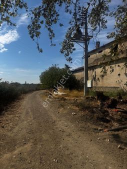 Buse Emlaktan Edremit Soğanyemezde Yatırımlık Meyve Bahçesi