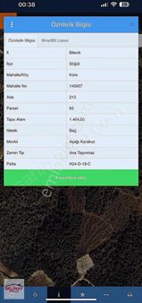 Bilecik / Söğüt / Küre Köyü Satılık 1.464 M² Bağ