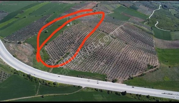 Se&as Exclusıve: Gönen Havutca'da Yatırımlık Fırsat Araziler !!!