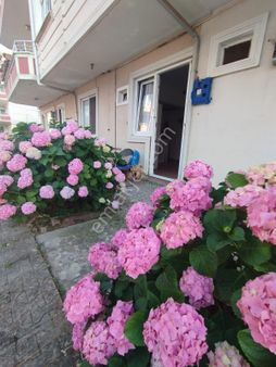 İgr Gayrimenkul Karasu 1+1 Giriş Kat