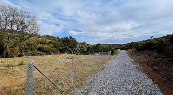 Gebze Denizli Köyünde Resmi Yollu