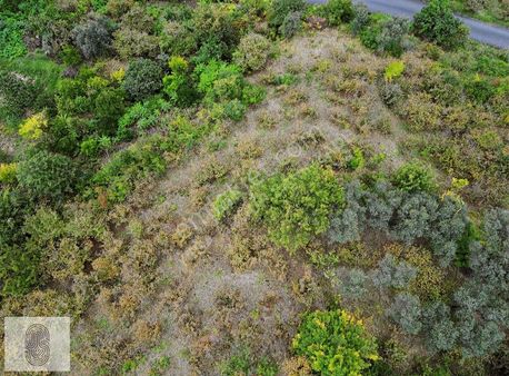 Akçaabat Mersin De Satılık Arsa Deniz Ve Doğa Manzaralı