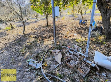 Turpa Erenden Tek Tapu Emsallerinin Altında Fiyat