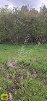 Muğla Milas Danişment Tarla