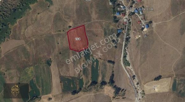 Tunceli' De Satılık Tarla