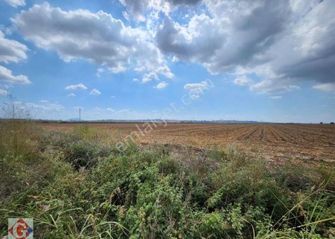 Görgün'den İsmaliye(köklüce) Köyü'nde 70 Dönüm Satılık Tarla
