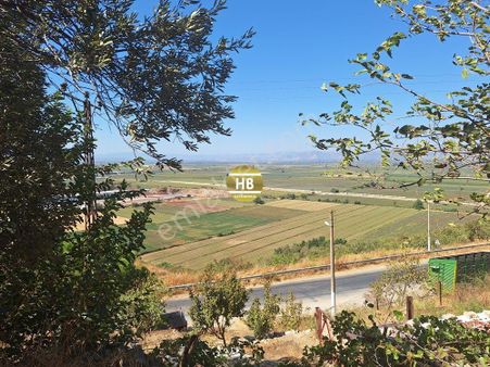 Hb'den Satılık Arsa, Koçarlı Halilbeyli'de Köşe Parsel