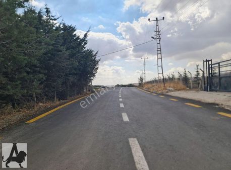 Memlik'te Yol Kenarı Telle Çevrili Köşe Başı Tapulu Hobi Bahçesi