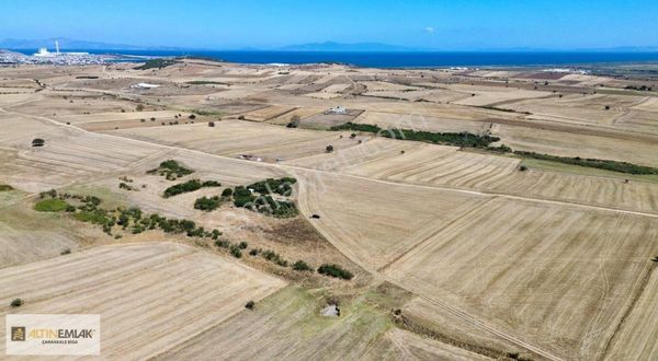 Altın Emlak Biga Temsilciliği