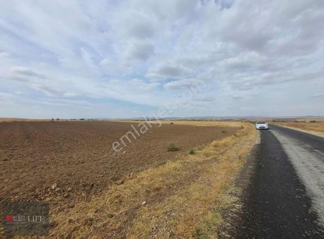 Rw Life // Eskişehir Tepebaşı Turgutlarda Satılık Tarla