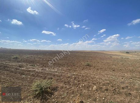 Rw Life // Eskişehir Odunpazarı Yukarı Çağlanda Satılık Tarla