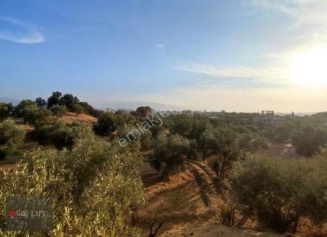 Rw Lıfe // Bozyurt Mah. Devlet Hastanesi Yakını Satılık Bahçe