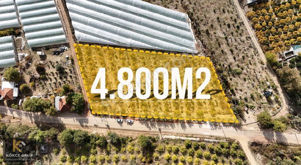 Kökce'den Kumluca Satılık Yetişkin Karışık Meyve Bahçesi