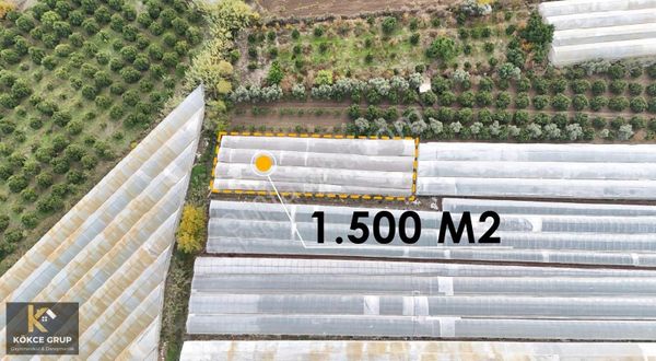 Kökce'den Kumluca'da 1500 M2 Satılık Kapalı Sera