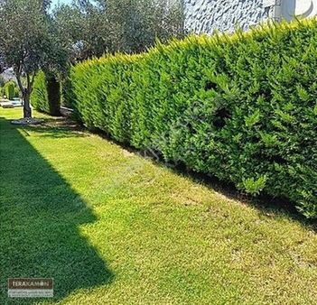 İzmir Çeşme Alaçatı Havuzlu Site İçinde Satılık Taş Ev Villa