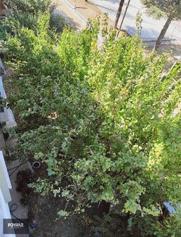 Poyraz Emlaktan Tavas Yaka Mah. De Satılık Arsa