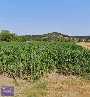 18.582m2 Tarlamız Satılık