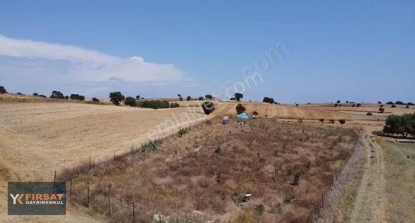 Çanakkale Biga Güleç Köy Karabiga Yolunda