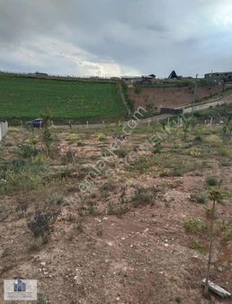 Finans Gayrimenkul'den Çayboyunda Satılık 1000 M2 Bahçe