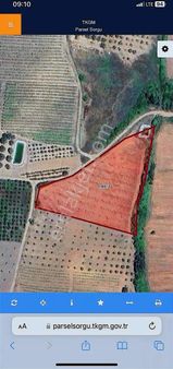 Seçköy'de Tek Tapu Satılık Tarla