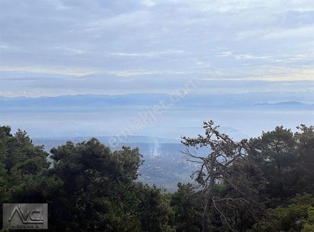 Avcı'dan Altınoluk Avcılar 4 Dönüm İcinde Yapı Olan Full Manzara