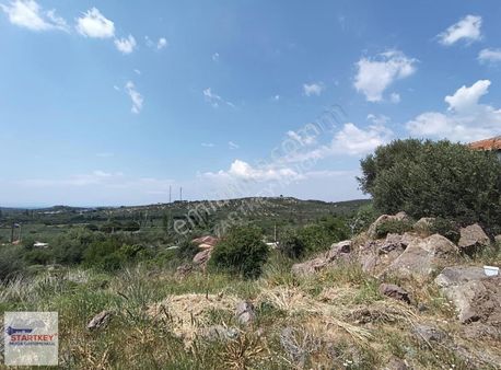 Dikili Bademli Villa İmarlı 304 M2 Satılık Arsa Anayola Yakın