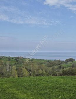 Belorende Deniz Manzaralı 13 Dönüm Tarla