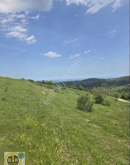 Mahmuttırı Köyünde Deniz Manzaralı 1835 Metrekare Tarla