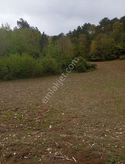 Abdaloğlu'nda Deniz Manzaralı 2 Dönüm Tarla