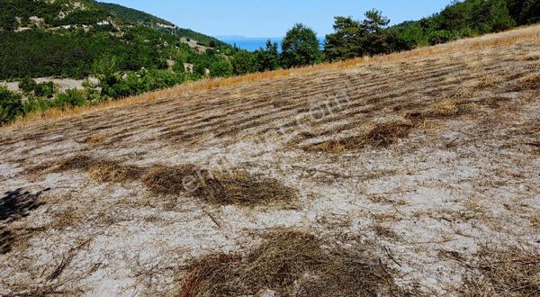 Bir Emlaktan Yenikentte Deniz Manzaralı 8 Dönüm