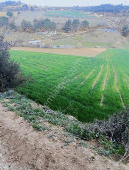 Kozdere'de 7200m Yola Resmi Yola 15 Metre Mesafede Harika Tarla