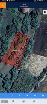 Meram Sağlık Ta Satılık Tarla