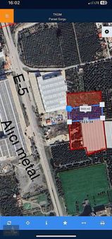 Lion's Life Yatırımdan 5,5 Dönüm Bahçe