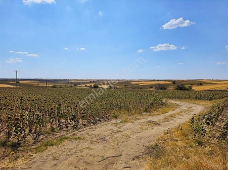 Edirne Havsa Azatlı Satılık 616m2 Fırsat Hisseli Parseller