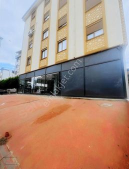 Kurtköy Merkez Şeyhli Kiralık Dükkan-işyeri-ofis