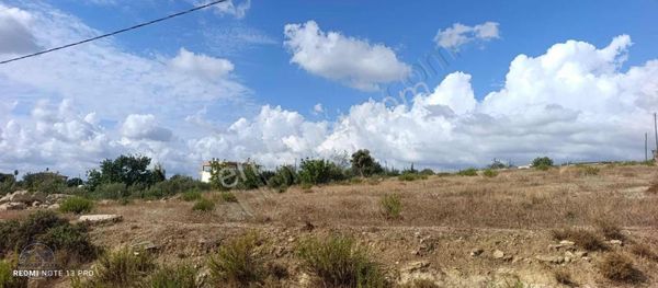 Yılmaz Emlaktan Demircilerde Satılık Hisseli Tarla