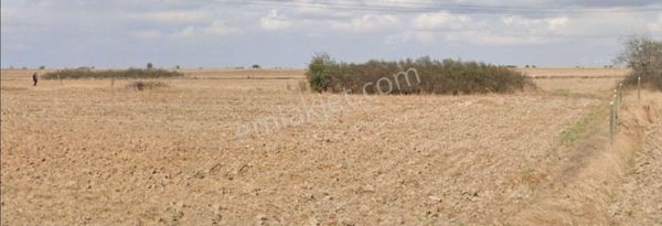 Kapaklı Yanıkağıl Satılık Tarla