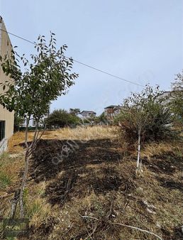 210 M2 Villa İmarlı Tek Tapu Yerleşimin İçinde