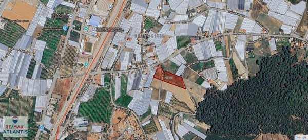 Kumlucada Satılık Arsa 6300m2 Emsallerinin Altında