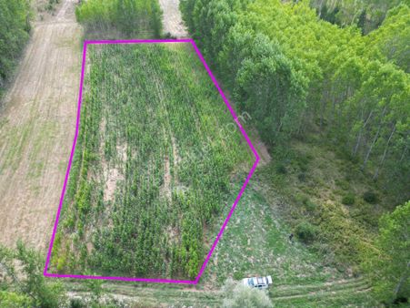 Kütahya Gediz Yağmurlar Köyü 1397 M2 Satılık Yatırımlık Verimli Tarla