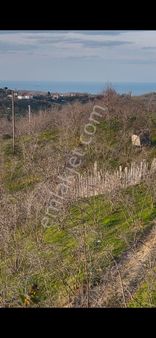 Kocaalide Satılık Tarla