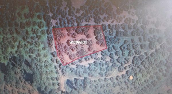 Engürü De Togg' A Yakın Yatırımlık Zeytinlik