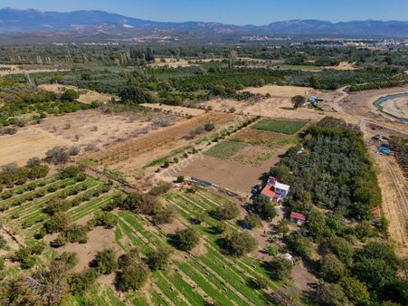 Era Söz Den Balıkesir Havran Tekke De Satılık Tarla