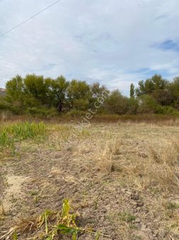 Uyar Gayrimenkulden Organize Sanayi Yakını Satılık Tarla