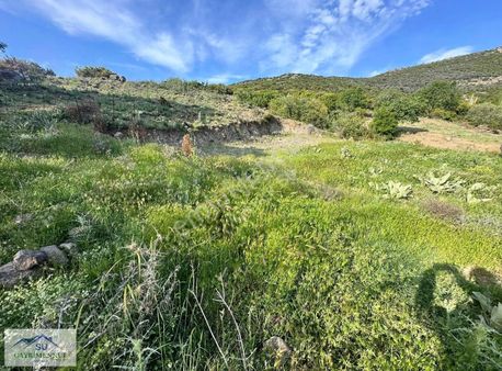Ayvalık Su Gayrimenkul'den Üçkabağaç Mh. Satılık Bahçe