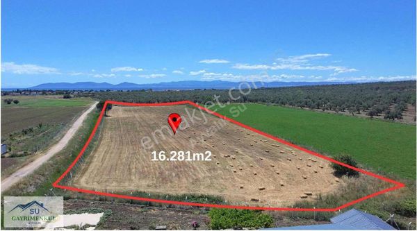 Ayvalık Su Gayrimenkul Den Satılık 16281m2 Tarla