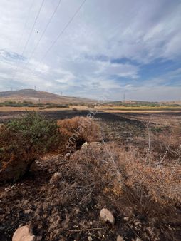 Uyar Gayrimenkulden Organize Sanayi Yakını Yatırımlık Tarla
