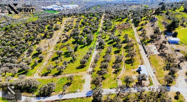 Kemalpaşa Vişneli Satılık 370 M2 Bahçe Elektrik Su Yol