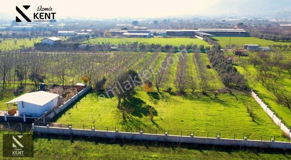 Kemalpaşa M.akif Ersoy Satılık 1632 M2 Bahçe